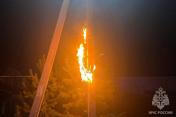 В Богородском загорелись электрокабели опоры ЛЭП